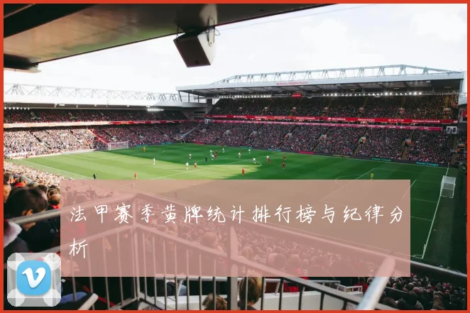 法甲赛季黄牌统计排行榜与纪律分析