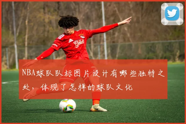 NBA球队队标图片设计有哪些独特之处，体现了怎样的球队文化