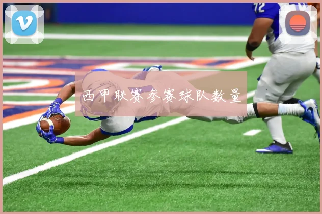 西甲联赛参赛球队数量