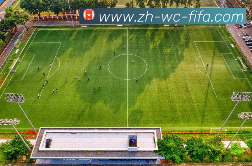 世界杯赛程平台生态图